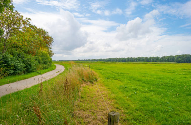 istock Green meadow below a blue cloudy sky in summer 824612086