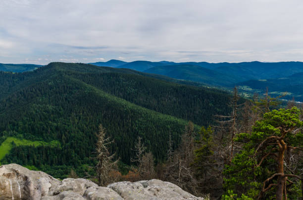 istock Carpathian mountains landscape view in Yaremche 824614076