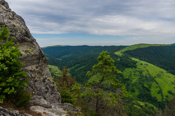 Carpathian mountains landscape view in Yaremche