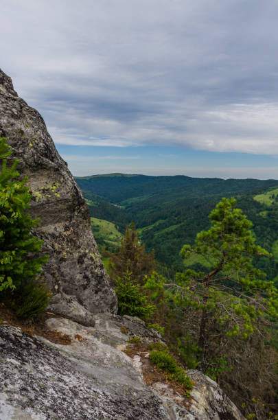 istock Carpathian mountains landscape view in Yaremche 824614112