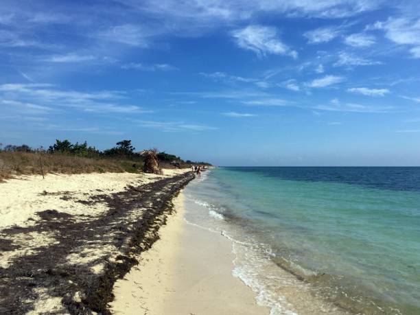 istock Ancon Beach in Trinidad 824618052
