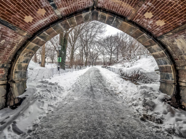 istock Central Park, New York City 824619646