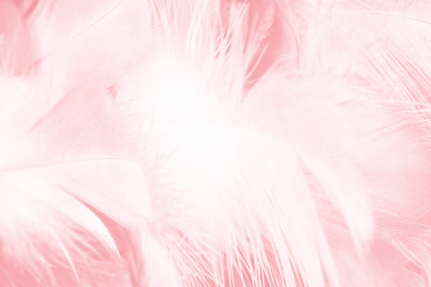 istock Coral Pink vintage color trends feather texture background 824624928