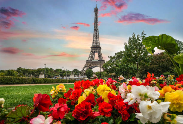 istock skyline of Paris city roofs with Eiffel Tower 824626052