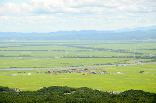 170+ Fotos, Bilder und lizenzfreie Bilder zu Oga Akita Fotos iStock