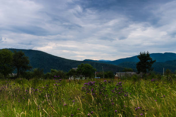 Carpathian mountains landscape view in Yaremche