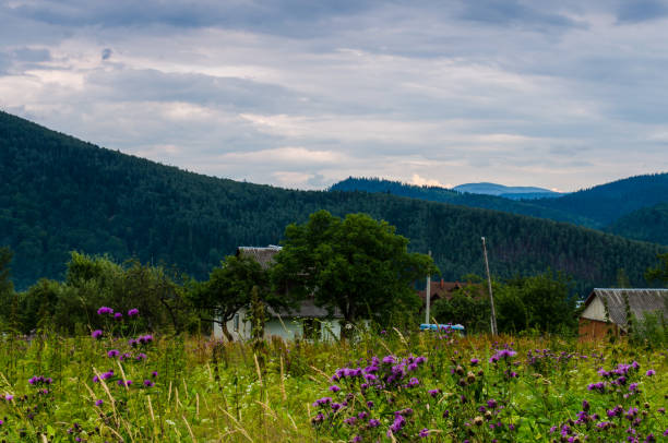 Carpathian mountains landscape view in Yaremche