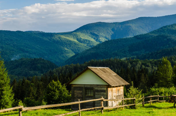 Carpathian mountains landscape view in Yaremche