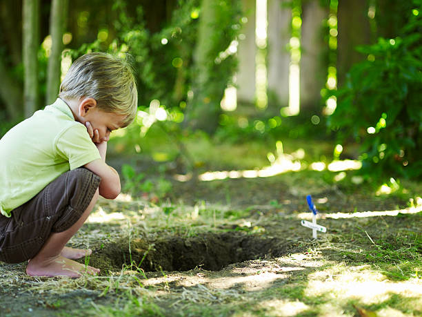 Boy looking into grave of pet.  pet loss stock pictures, royalty-free photos & images