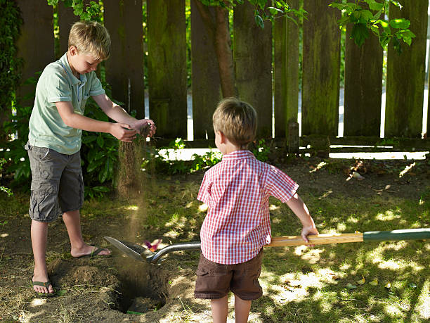 Two boys burying pet in hole in backyard  burying stock pictures, royalty-free photos & images