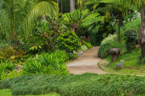 istock wooden bench with grass in the park 824629924