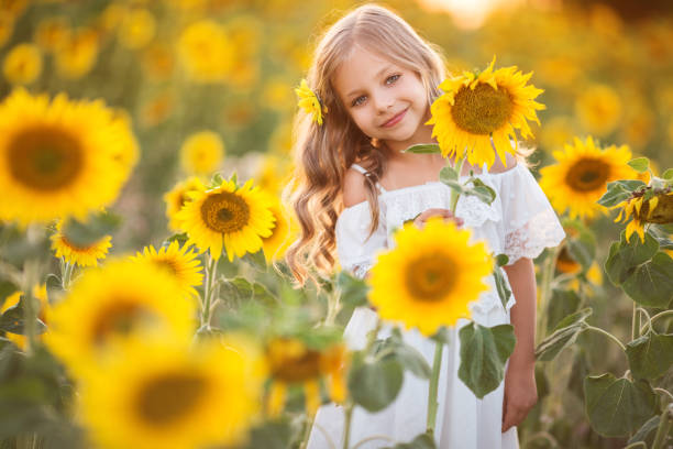 Child girl in yellow garden of sunflowers stock photo