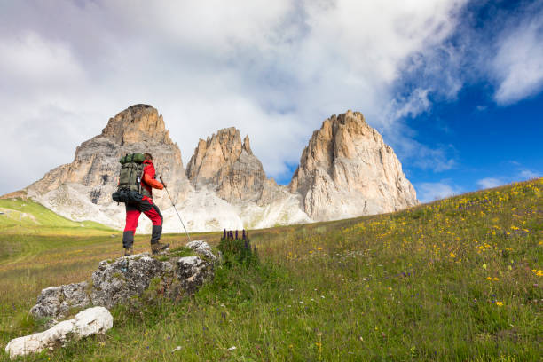 Dolomites, European Alps, Langkofel, Mountain, Mountain Range, Trentino, Alto Adige