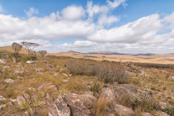 istock Serra da Canastra, Minas Gerais, Brazil 824634374