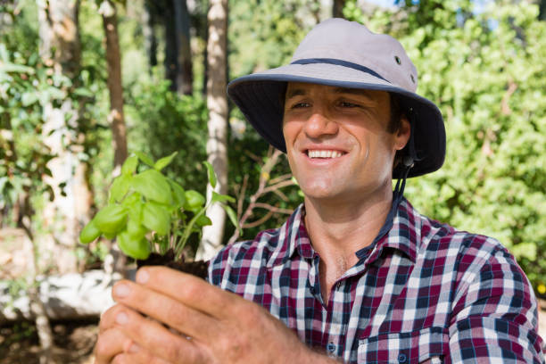 istock Happy man holding sapling in garden 824634622