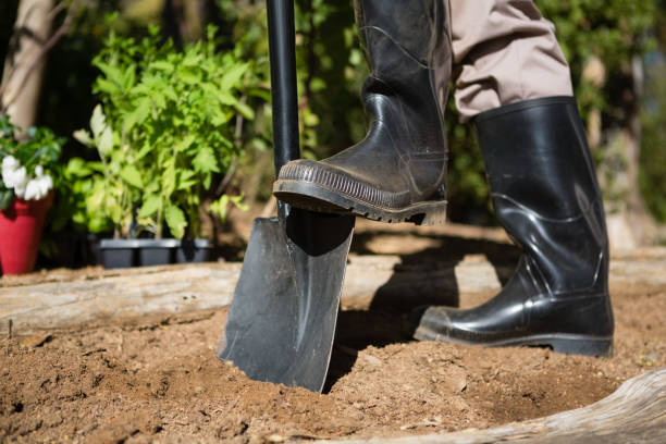 istock Low section of man standing with shovel in garden 824634672
