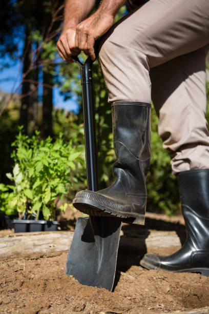 istock Low section of man digging soil with shovel in garden 824634688