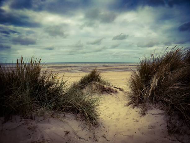 istock Sand Dunes in Le Touquet 824634848