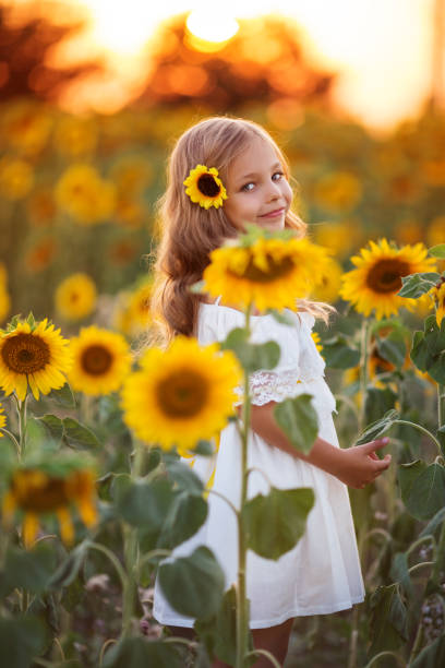 Beautiful child girl in yellow garden of sunflowers, summer time stock photo