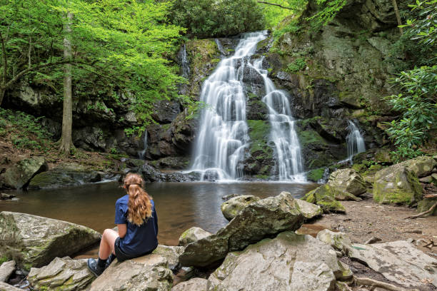 Young Woman Viewing Spruce Flats Falls In The Smoky Mountains Young Woman Viewing Spruce Flats Falls In The Smoky Mountains, Tremont Tennessee tremont stock pictures, royalty-free photos & images
