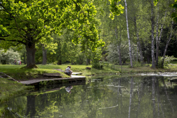 istock Romantic view of the pond in the summer 824639968