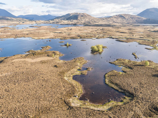 ラノッホ湿原の素晴らしい風景の空撮 - highlands region heather grass mountain range ストックフォトと画像