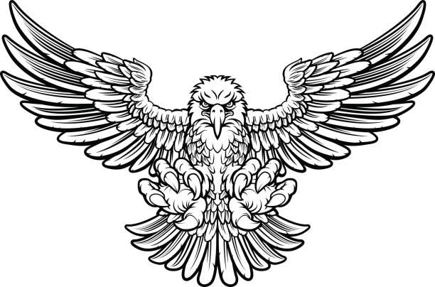 ilustrações de stock, clip art, desenhos animados e ícones de ferocious eagle - white background clip art american culture black