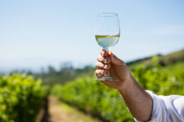 istock Smiling vintner holding glass of wine 824642848