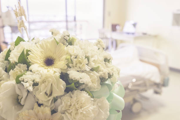 abstract floral for get well soon from six - can use to display or montage on product