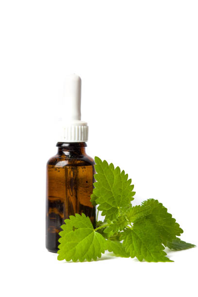istock Stinging nettle leaves and tincture isolated 824648528