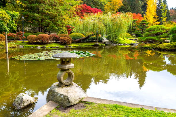 istock Japanese Garden in Autumn 824652284
