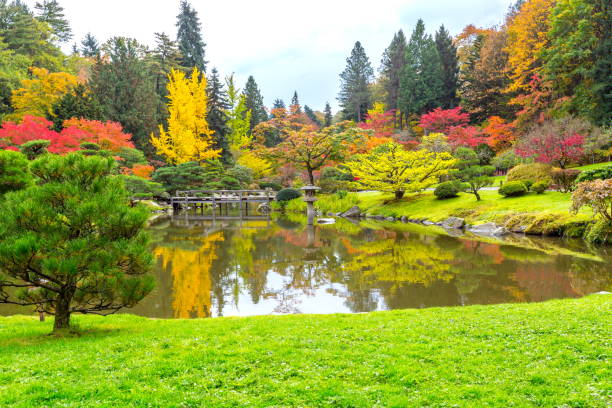istock Japanese Garden in Autumn 824652288