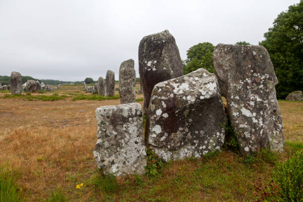 istock Standing stones at Carnac in Brittany 824653426