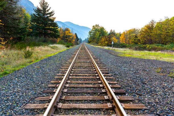 Straight Railroad Lines Straight railroad lines railroad track stock pictures, royalty-free photos & images