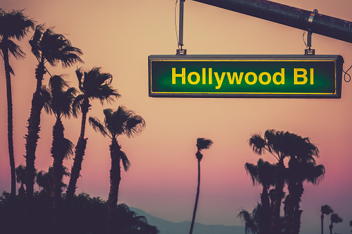 A Hollywood Blvd Sign At Sunset WIth Palm Trees In Los Angeles