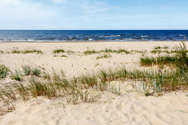 istock Light sand dunes on Baltic Sea beach 824656602