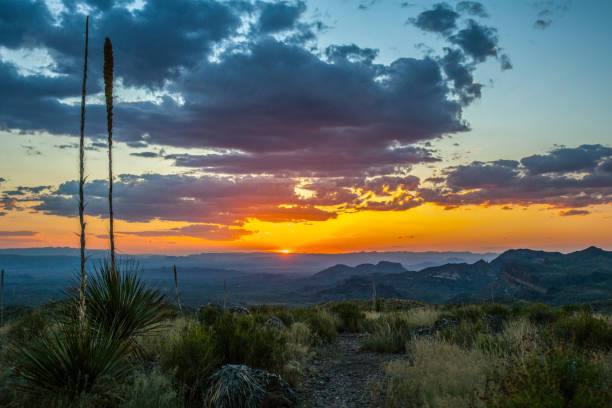 istock Sunset at Sotol Vista 824659202