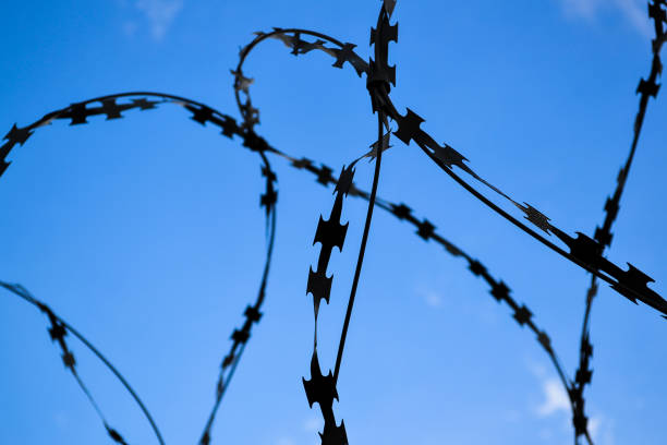 istock Barbed wire close-up against the blue sky 824659818