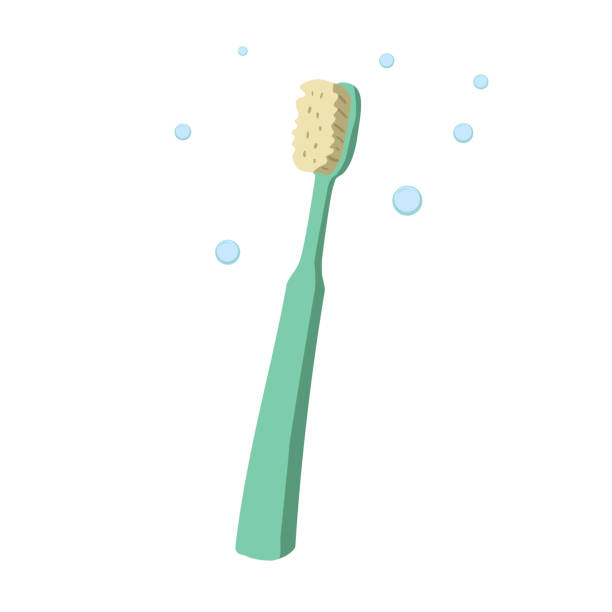 Trendy cartoon style old fashioned green toothbrush. Hygiene and every day teeth protection vector illustration. Trendy cartoon style old fashioned green toothbrush. Hygiene and every day teeth protection vector illustration. ESP10 + JPEG preview. toothbrush stock illustrations
