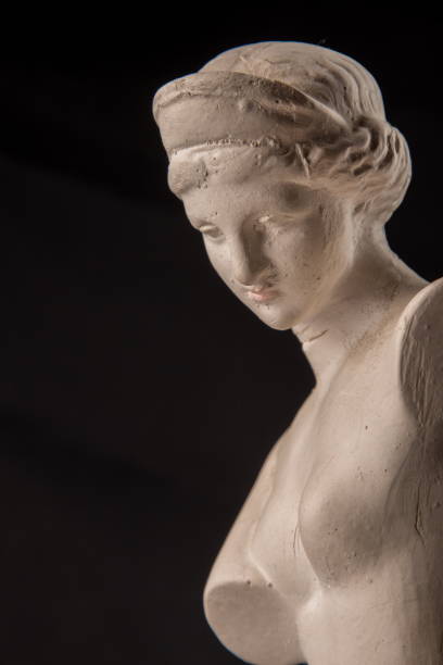 gesso gesso escultura de vênus - statue women sculpture italian culture - fotografias e filmes do acervo