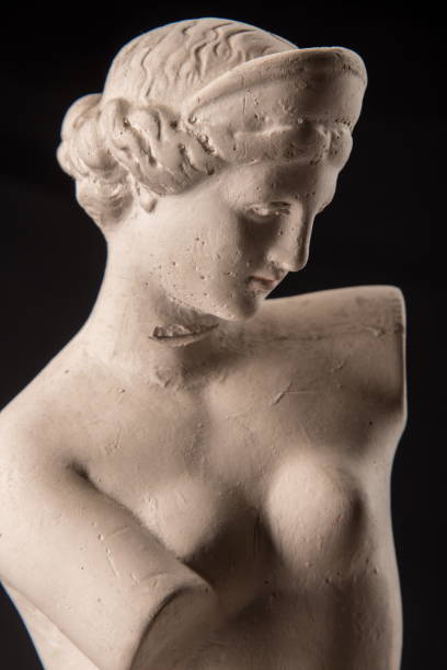 istock gypsum plaster sculpture of Venus 824664002