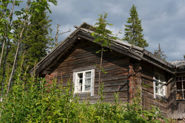 istock Traditional Swedish mountain hut in Dalarna 824664018