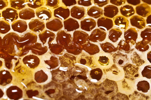istock Honeycomb with honey in closeup. Macro 824664154