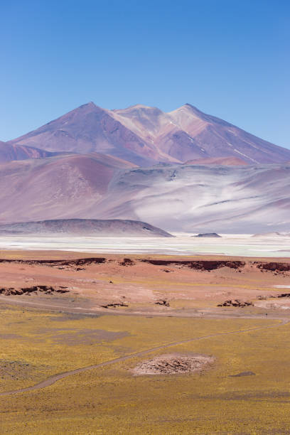 istock Miscante Altiplanic Lagoon in Atacama Desert, Chile 824664188