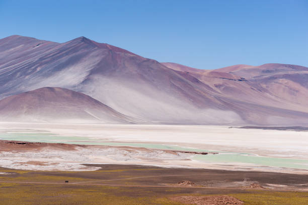 istock Miscante Altiplanic Lagoon in Atacama Desert, Chile 824664190