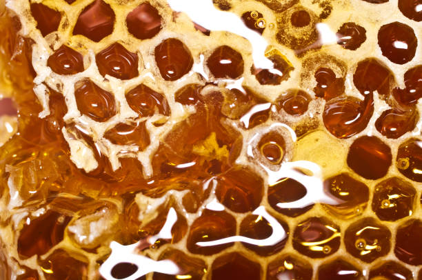 istock Honeycomb with honey in closeup. Macro 824664304
