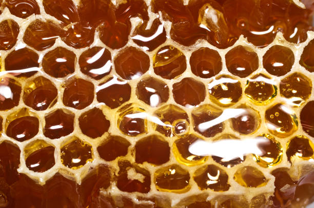 istock Honeycomb with honey in closeup. Macro 824664374