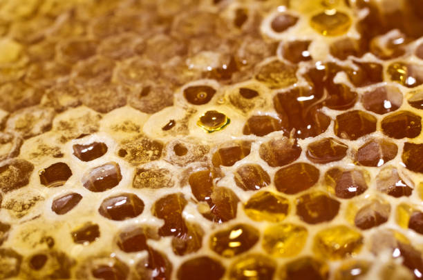 istock Honeycomb with honey in closeup. Macro 824666596