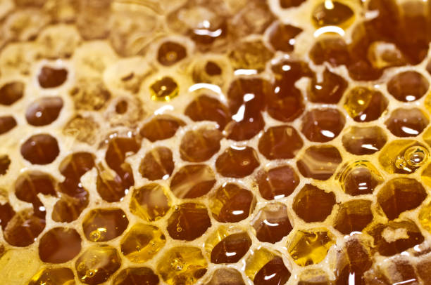istock Honeycomb with honey in closeup. Macro 824666684
