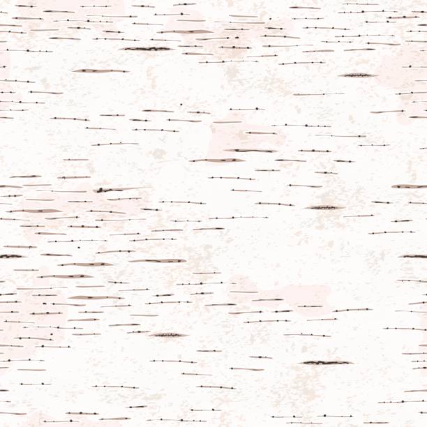 Birch Bark Texture Hand drawn birch bark seamless texture. birch tree stock illustrations